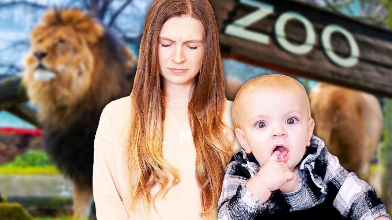 Baby Update + Zoo Day!