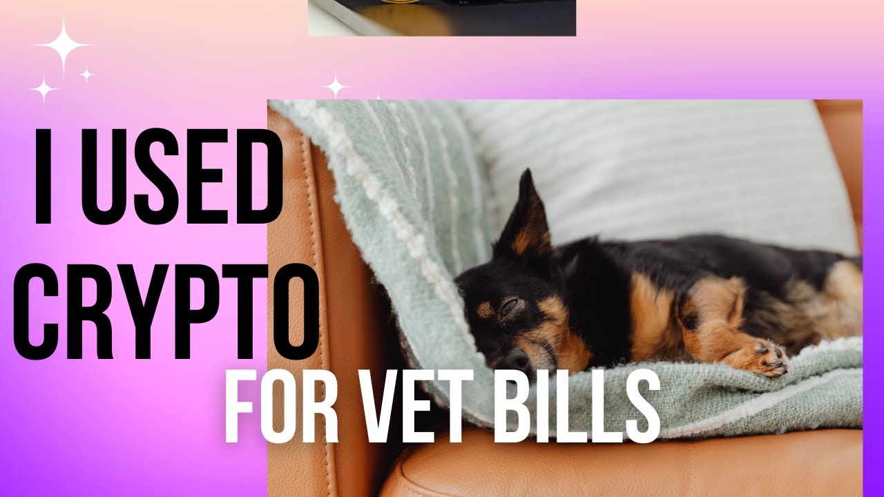 Can I use crypto to pay for my vet bills?