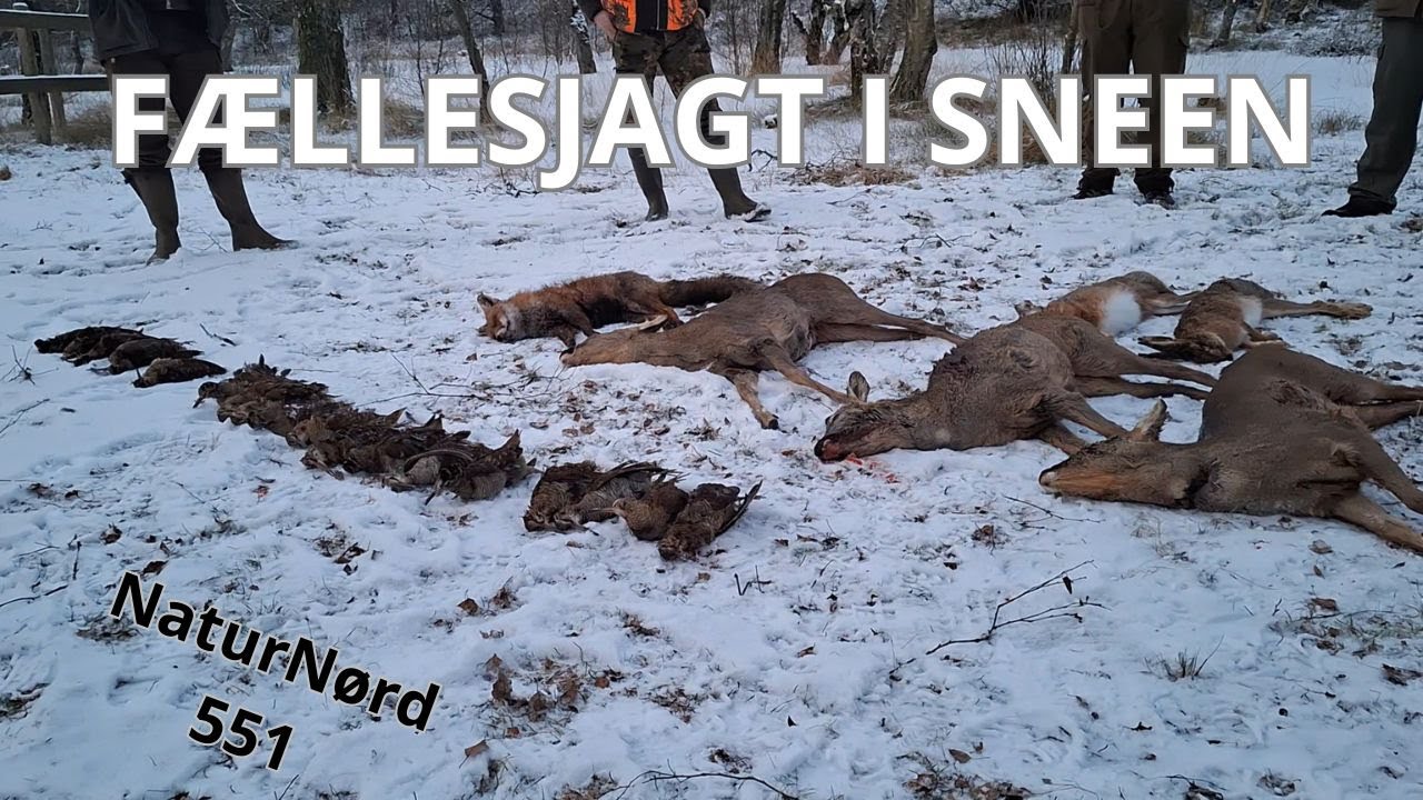 ÅRETS BEDSTE JAGTDAG!!!! + DET GREJ JEG BRUGER...