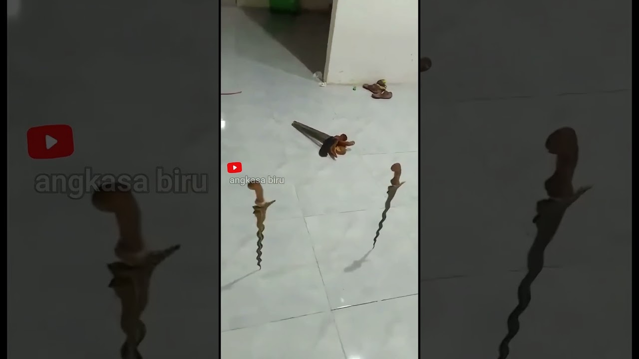 Malam 1 Suro!! Keris Bisa Berdiri, Terbang, dan Menyala! #faktamistis #keris  #shortsviral