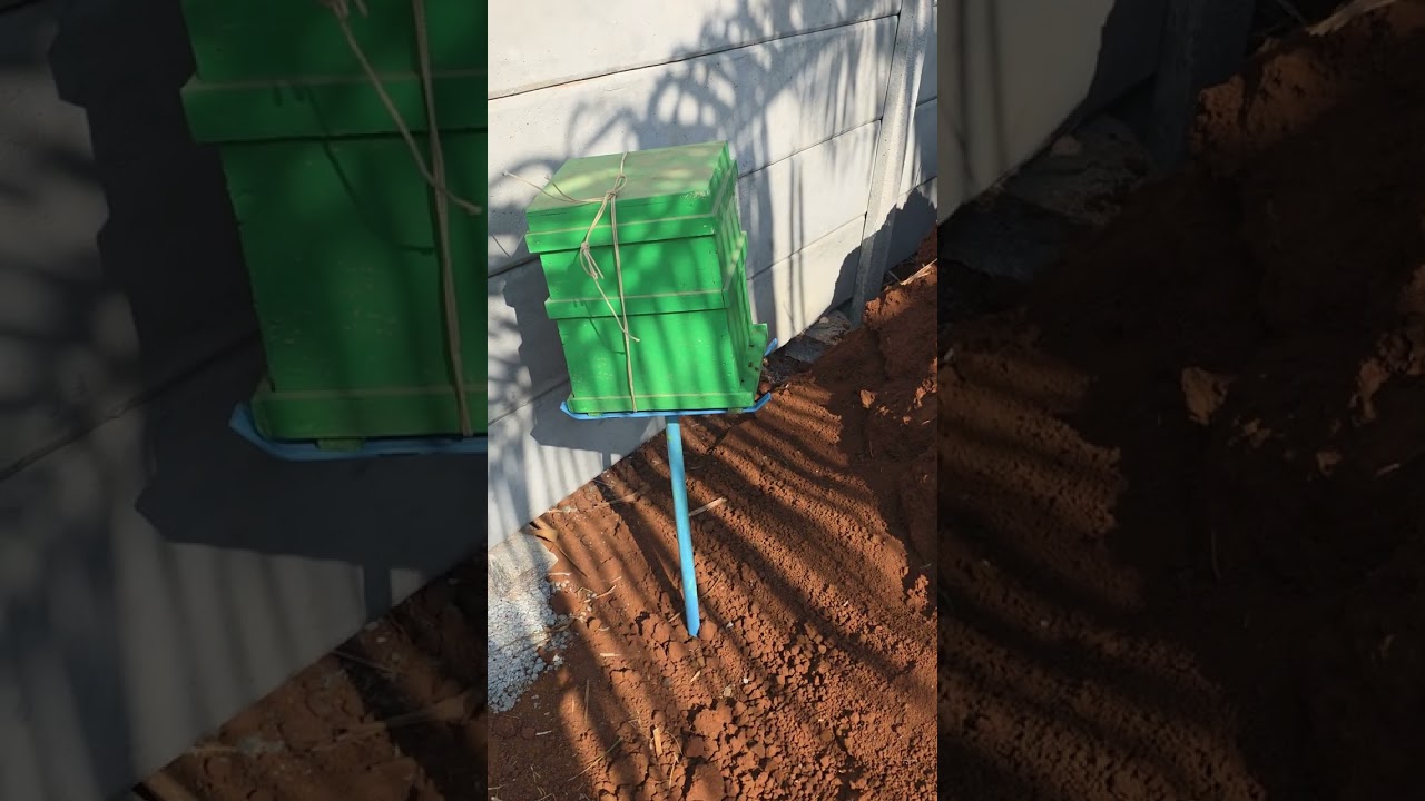 Honey farming How to honey box installation Full information  MS FARMER'S ✌️✌️
