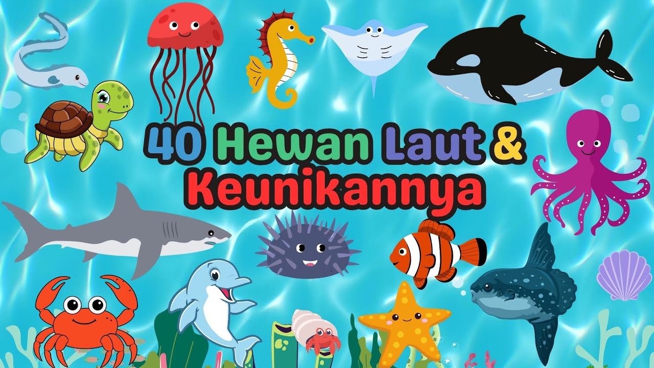 Belajar Mengenal Nama Hewan Laut | Keunikannya | learn the names of sea animals | For Kids