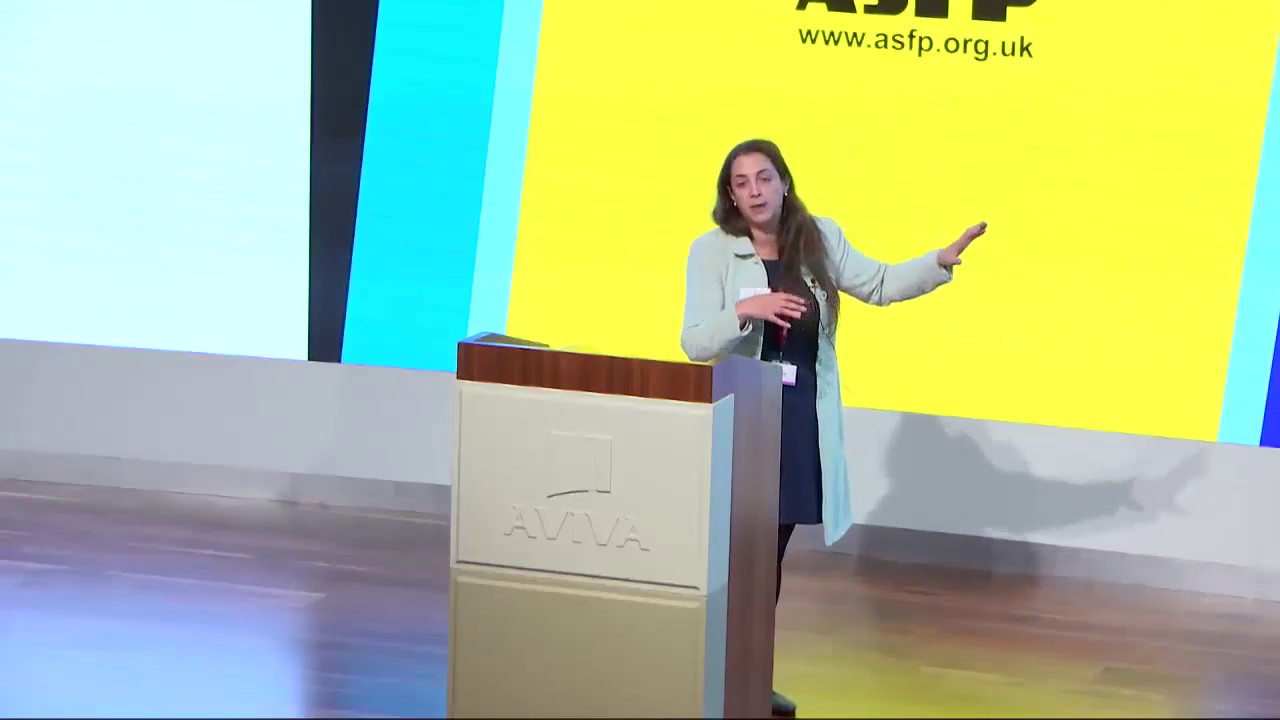 Противопожарные двери ASFP FDSW | Технические подробности