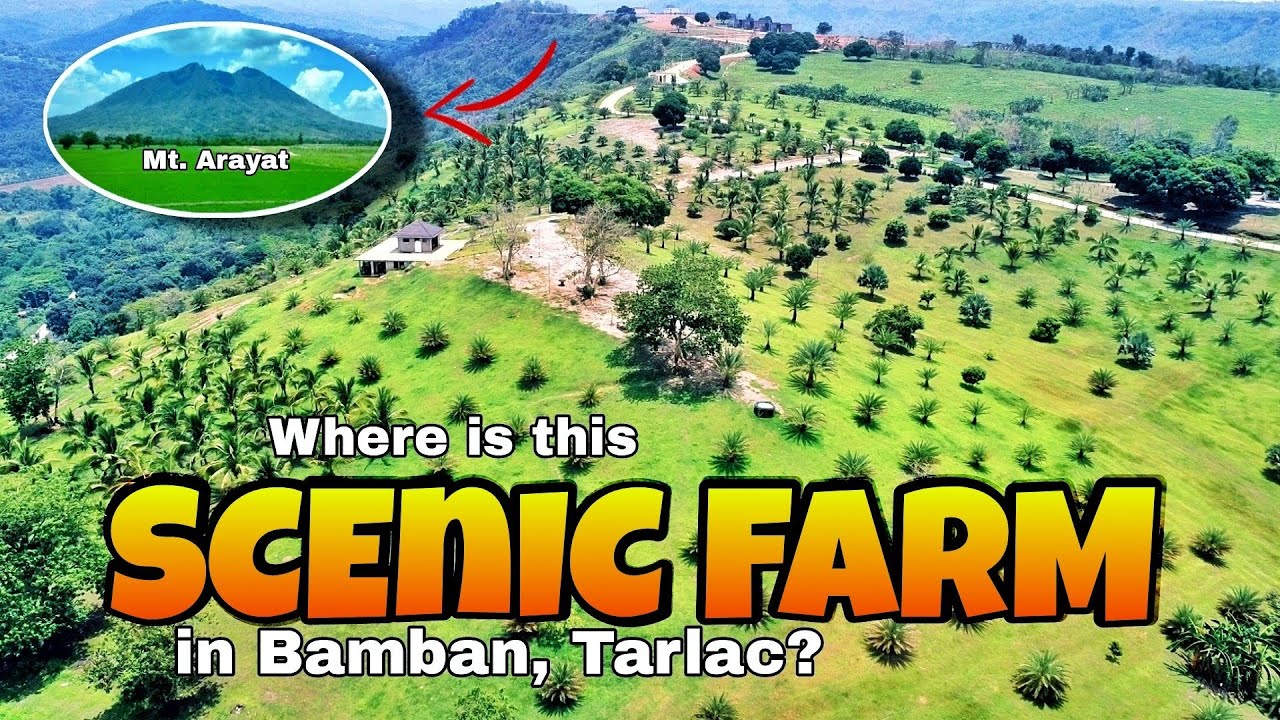 🏍️ THE SCENIC VIEW OF BELLA MONTANA FARM, BAMBAN, TARLAC | MT. ARAYAT VIEW FROM BELLA MONTANA FARM