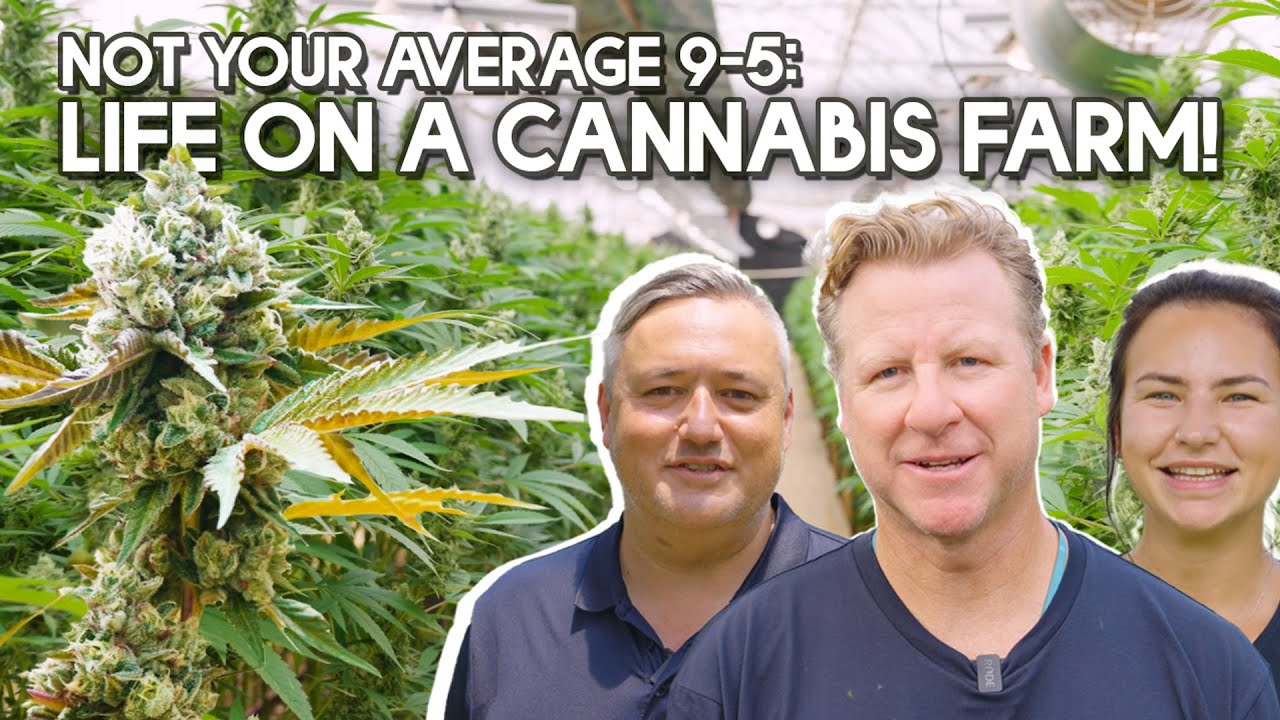 What&rsquo;s the Best Part of Working on a Weed Farm?