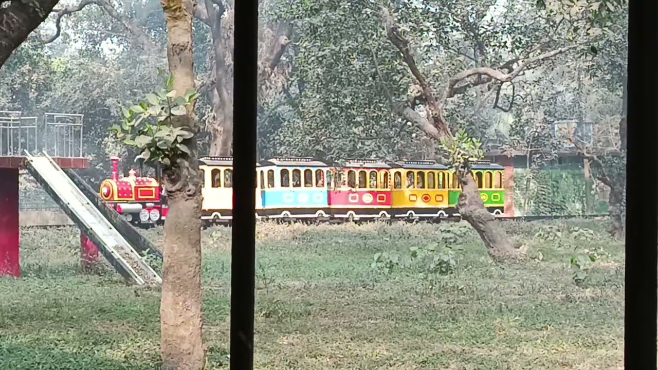 বাংলাদেশ জাতীয় চিড়িয়াখানা ❤️ট্রেন ভ্রমণ🇧🇩 ২৯/০১/২৬