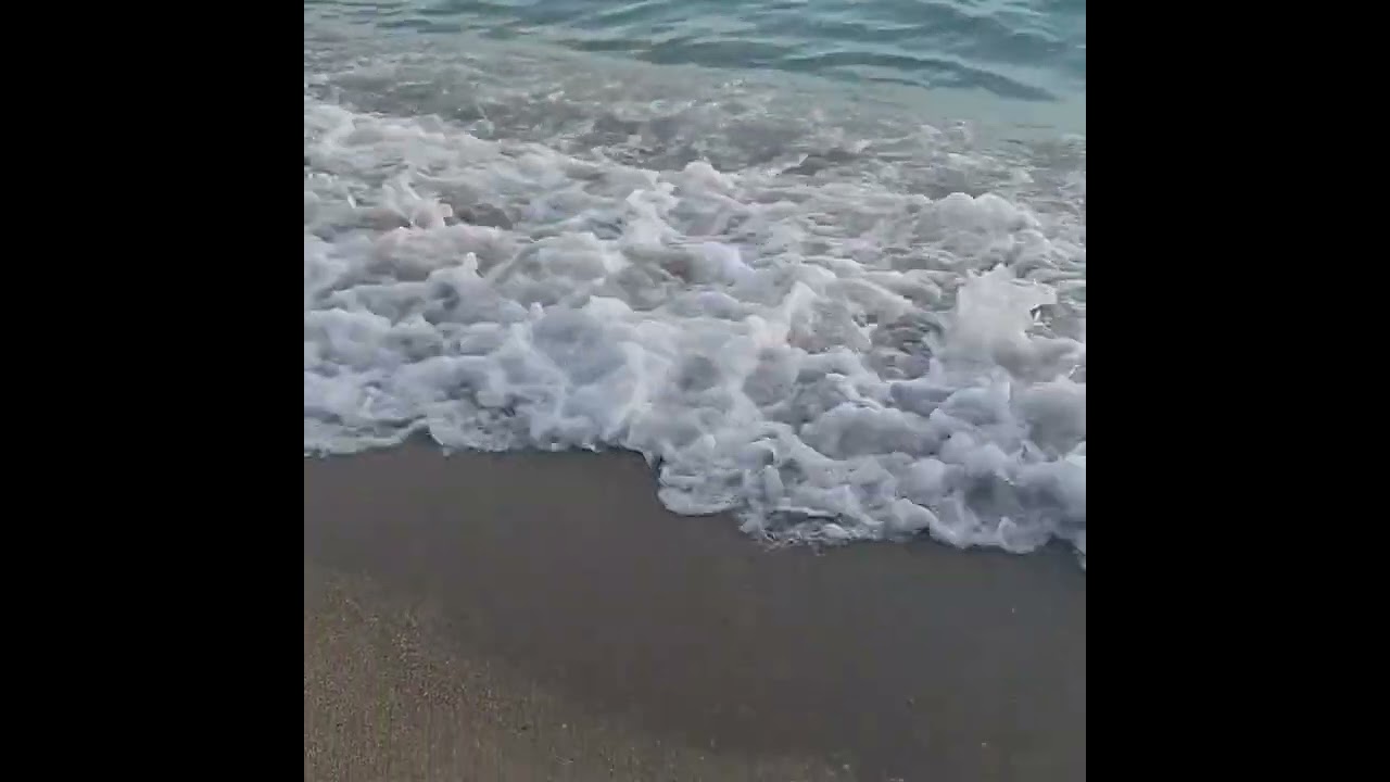 اجمل موال عصمت رشيد