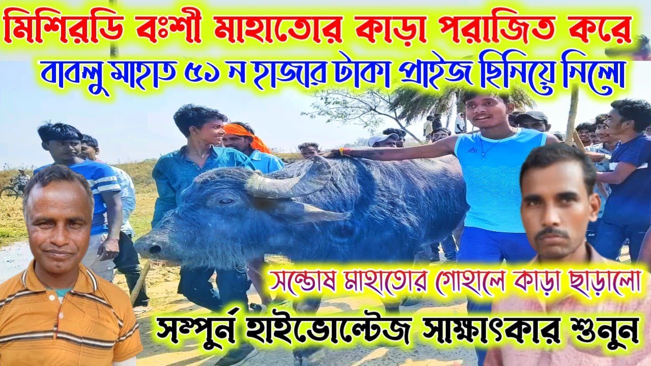 মিশিরডি বঃশী মাহাতোর কাড়াকে পরাজিত করে ৫১ন হাজার টাকা প্রাইজ ছিনিয়ে নিলো বাবলু মাহাত।বক্তব্য শুনুন