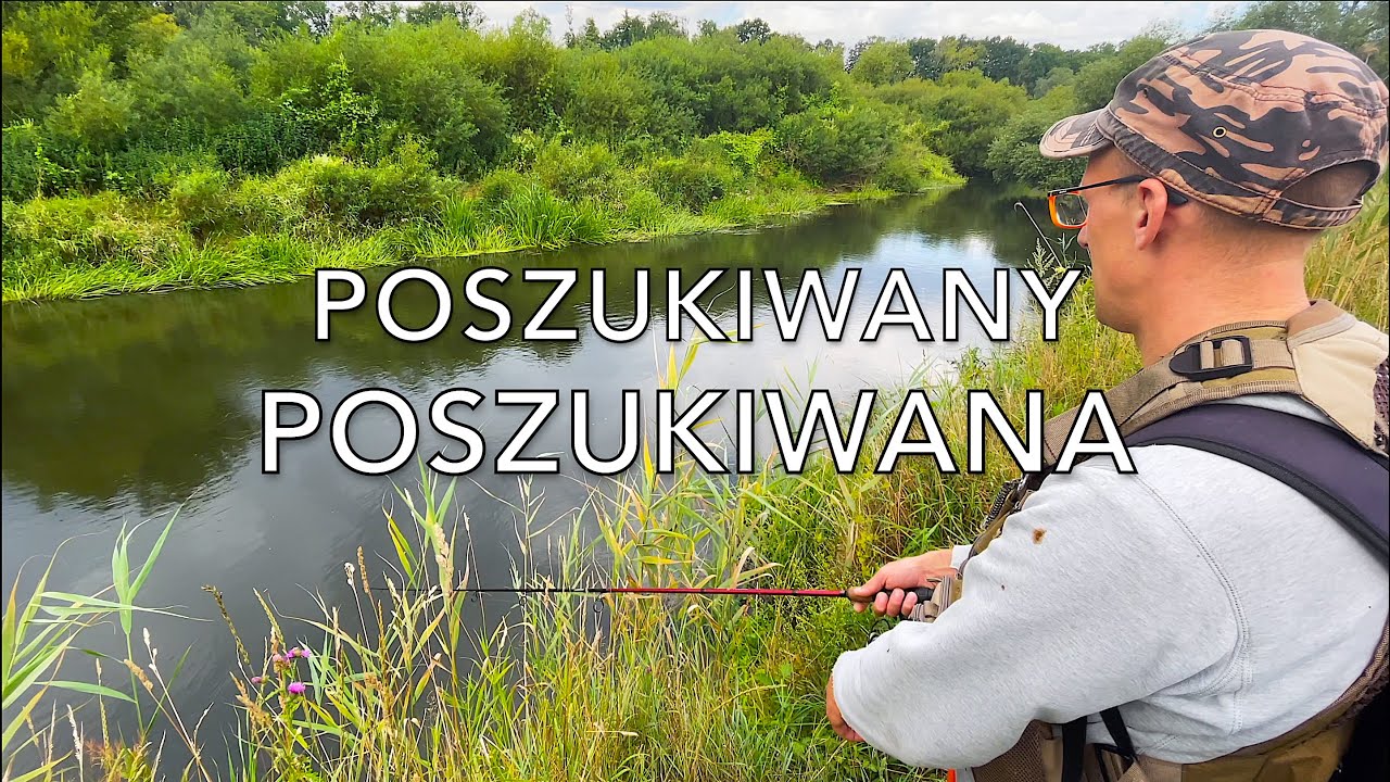 Poszukiwany, POSZUKIWANA | Z nurtem przygody #3