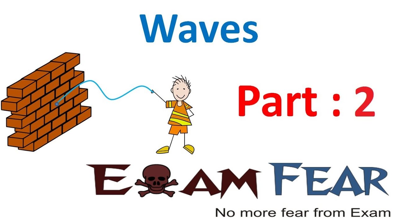 Physics Waves part 2 (Types of Waves) CBSE class 11