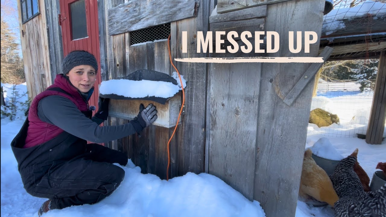 What I Wish I Had Done For My Chickens Before Winter