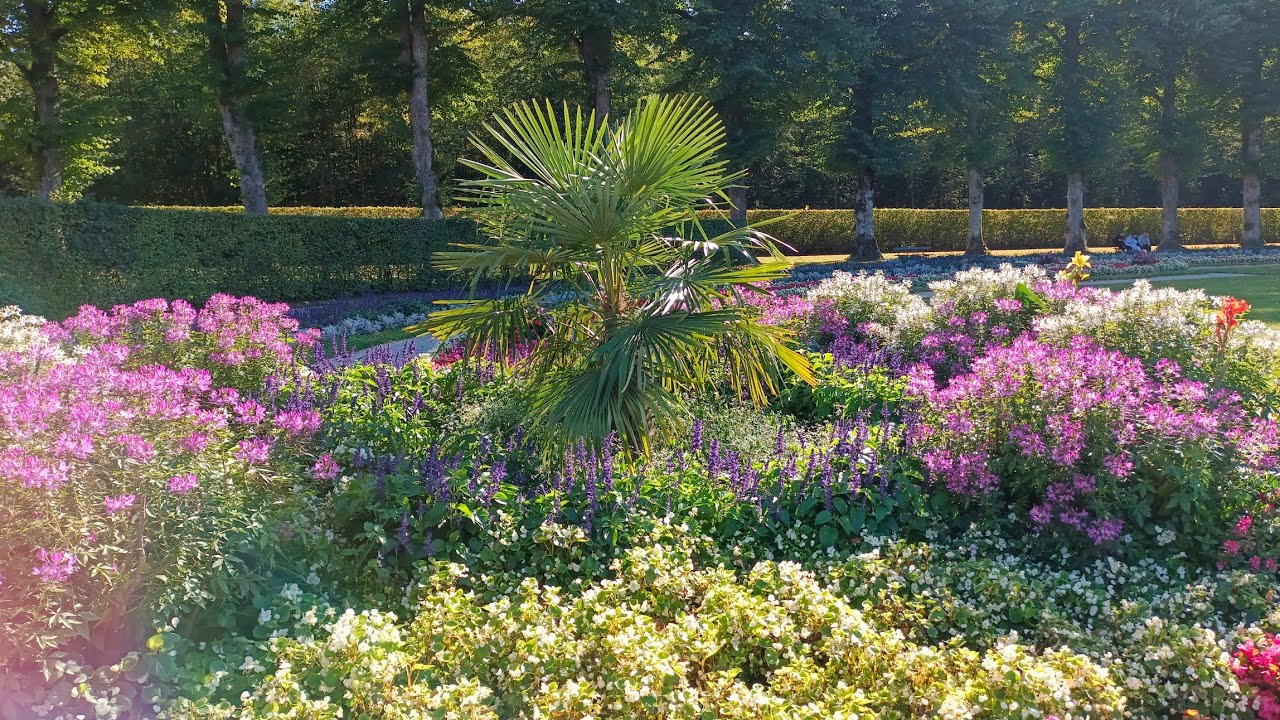 Landschaftsgarten am Schloss Herrenchiemsee 🌸🌻 im September 2025 // Bayern, Deutschland 