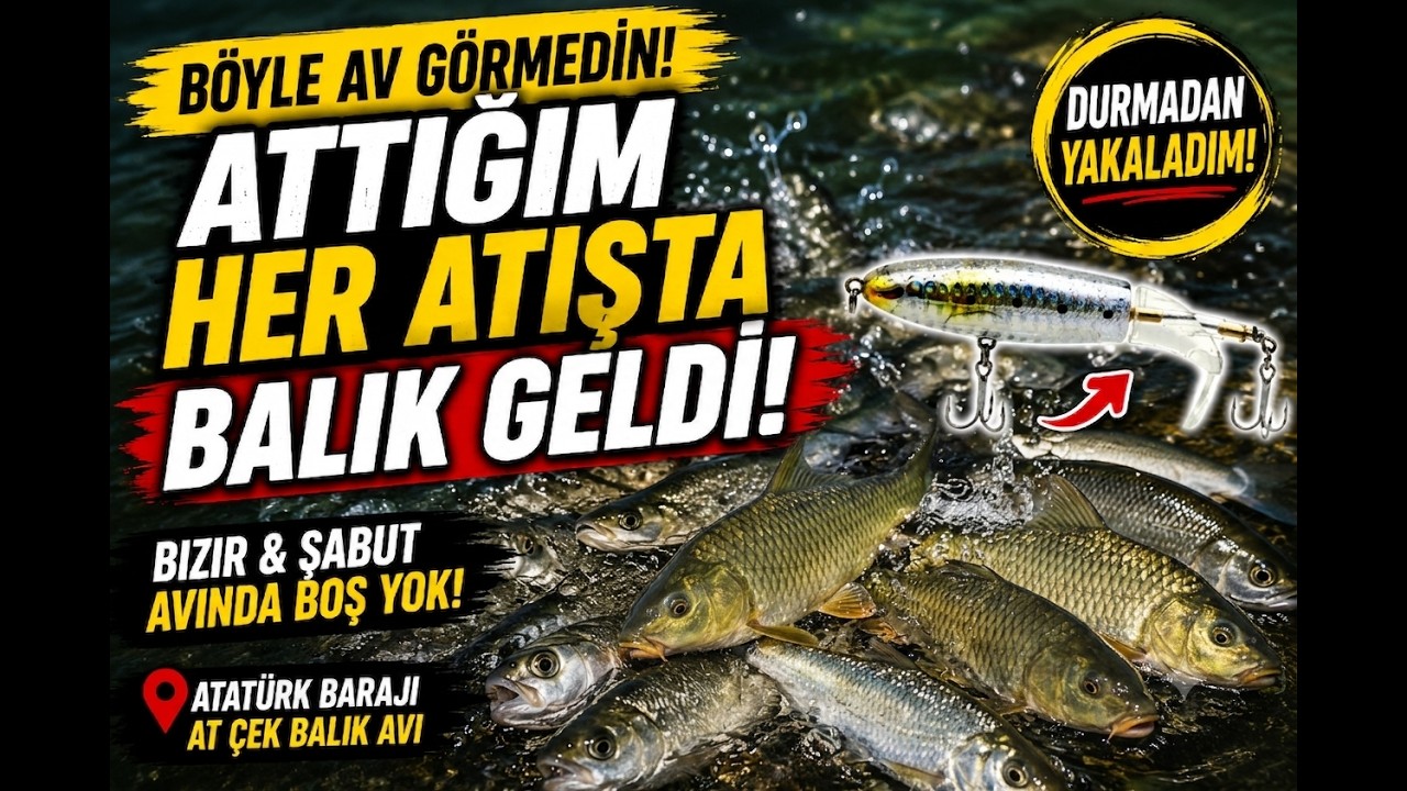 Atatürk barajı at çek balık avı boş yok! Suda dev şabutlar! #atatürk #fishing #tunafish