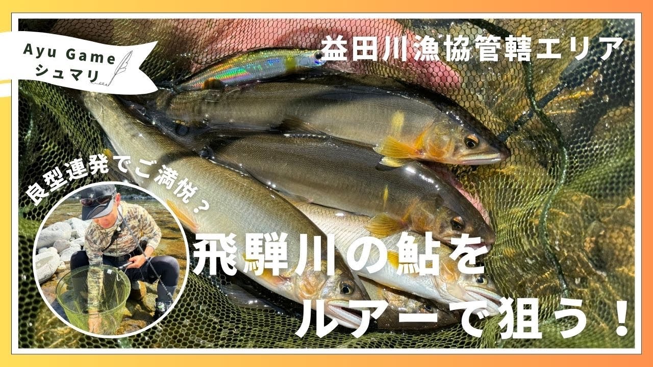 【アユルアー】良型連発!? 飛騨川のアユをルアーで狙う！【鮎ルアー】