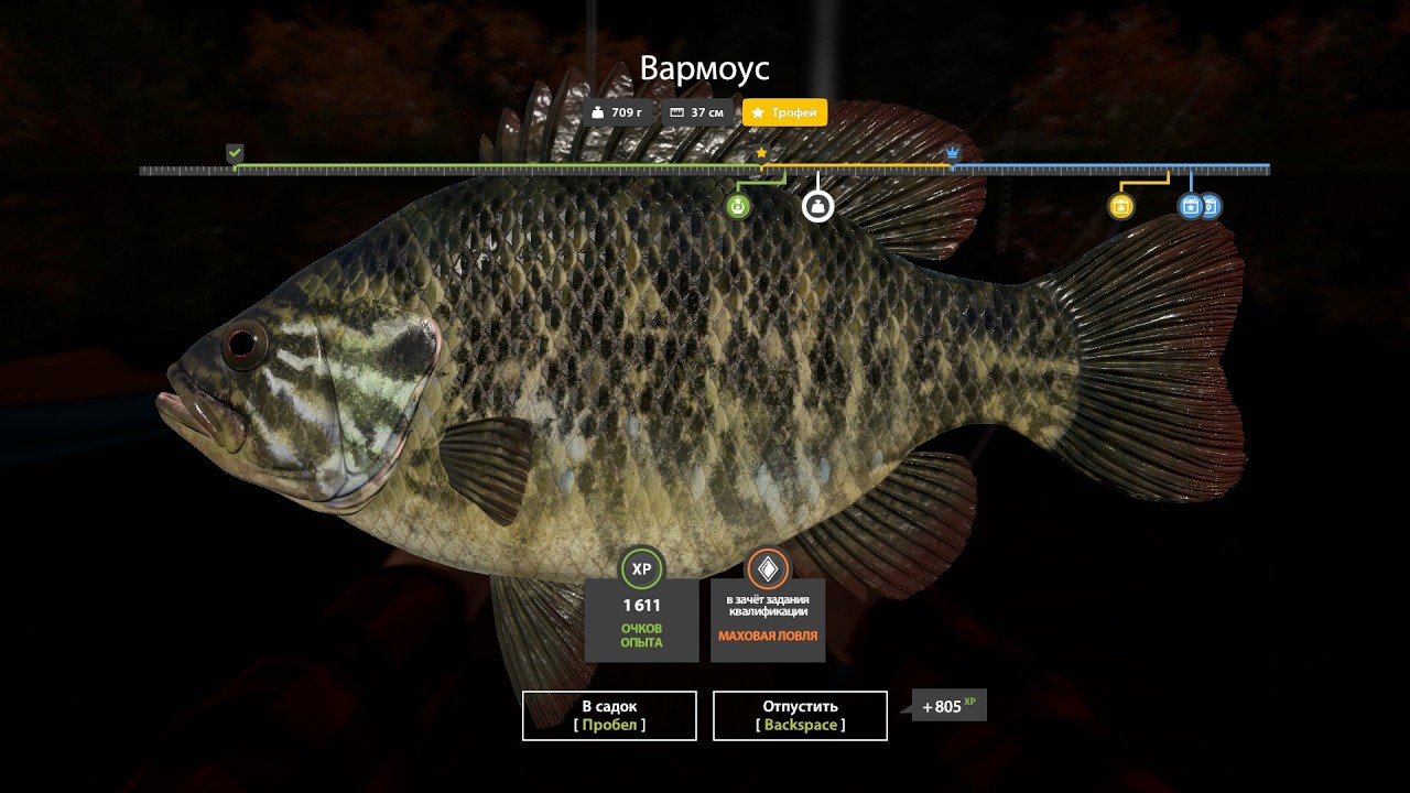 Russian Fishing 4 Клёвые места. Трофейный Вармоус оз. Лосиное.
