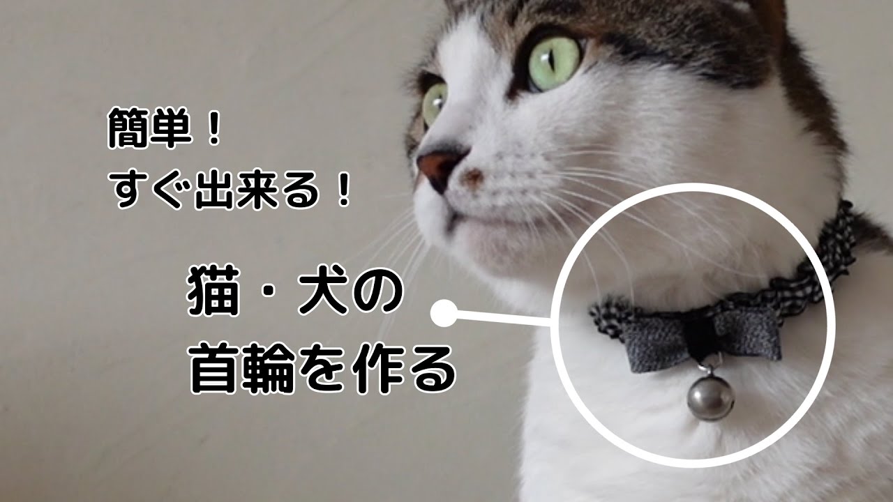 猫・犬の首輪を作る　美味しい緑茶を煎れますね
