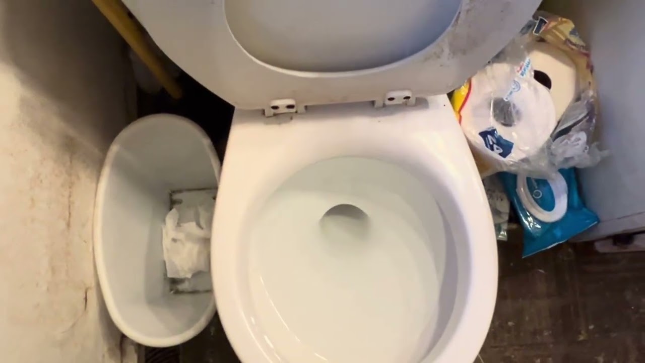 Goodbye Mansfield Toilet.