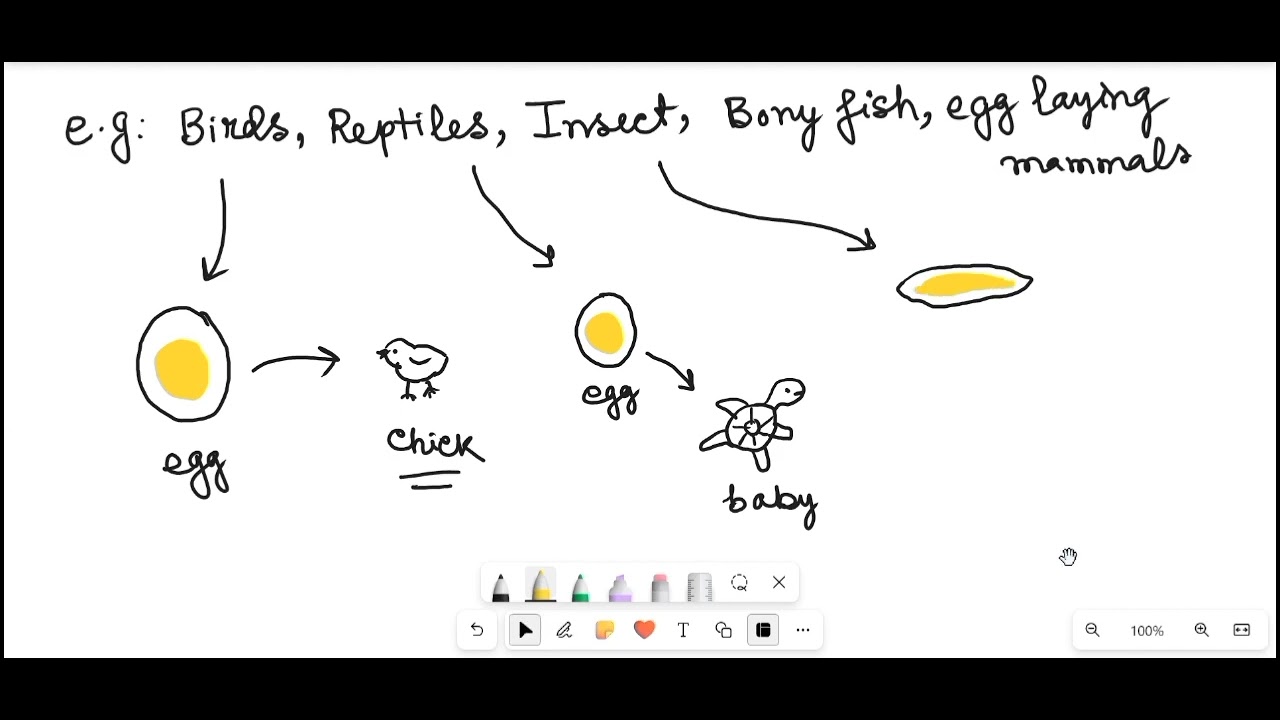 Types of Egg and Types of Cleavage (Hindi) | Developmental Biology