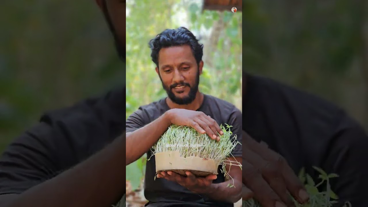 How to Grow Microgreens Very Easy🌱🔥