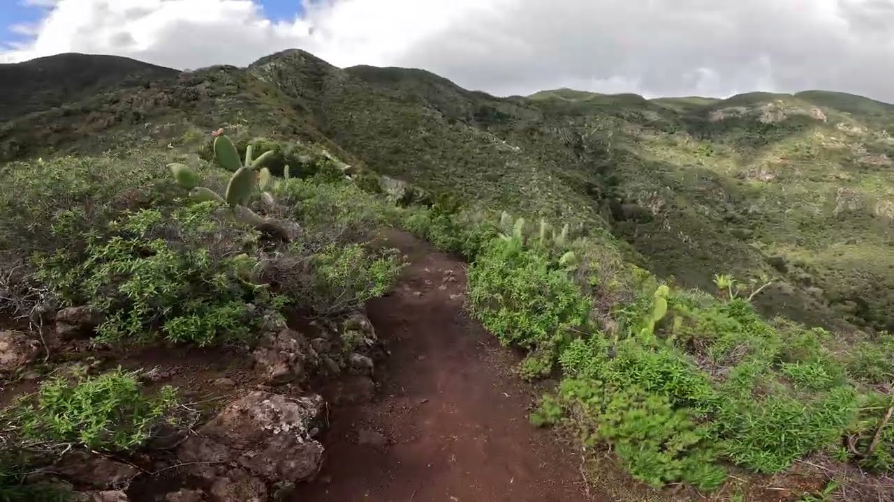 Sendero ASMR en la Naturaleza Senderismo con Sonidos de la Naturaleza 4K