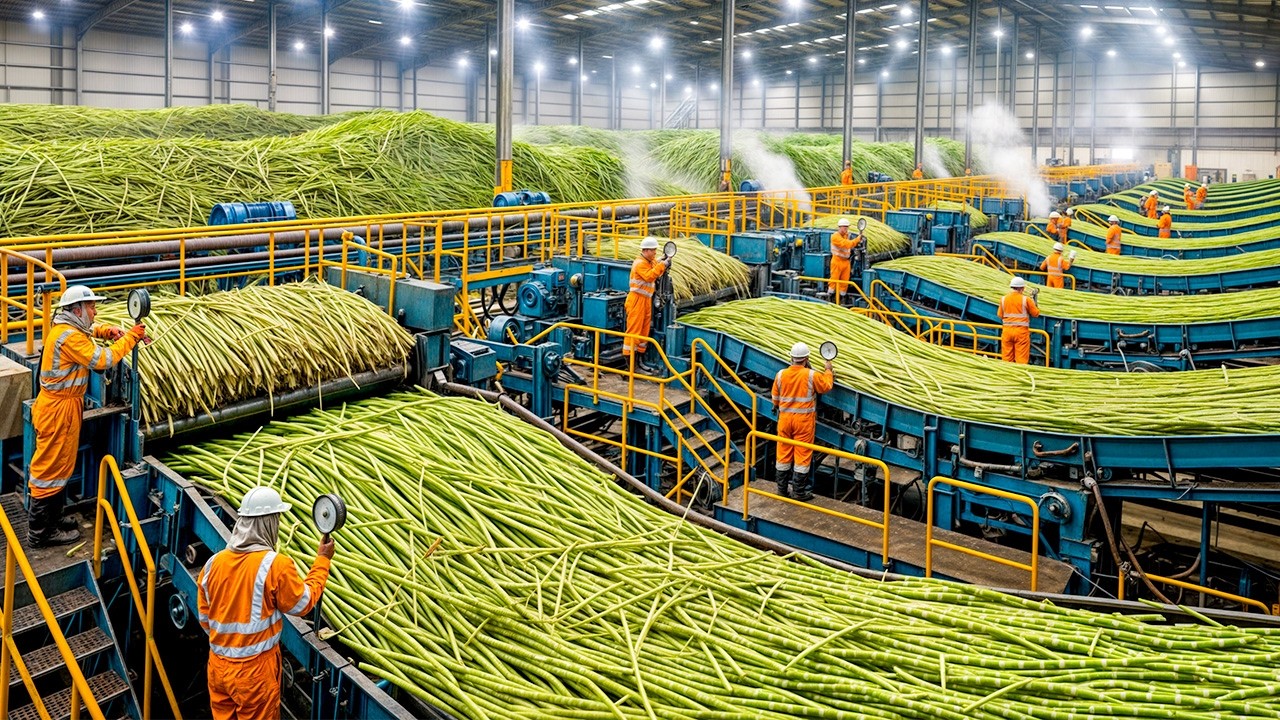SUGAR TO PLASTIC: How Biodegradable Packaging is Made from Sugarcane (PLA Secret)