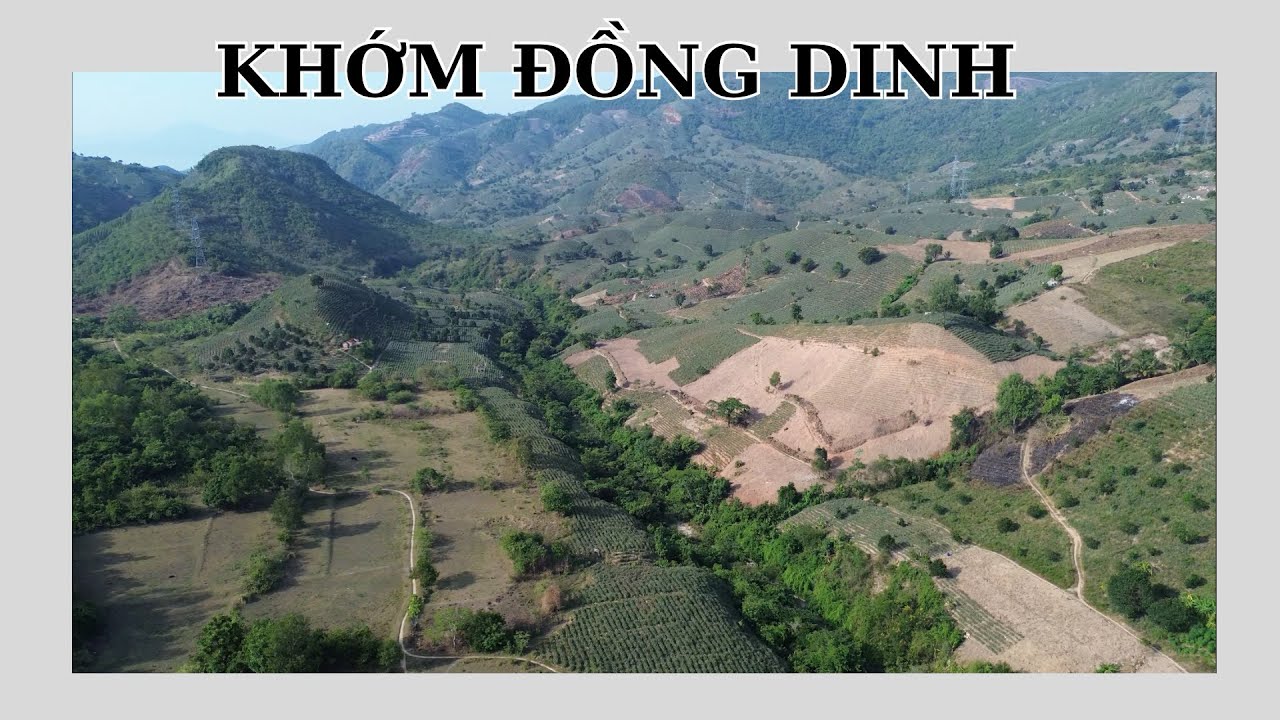 KHỚM ĐỒNG DINH