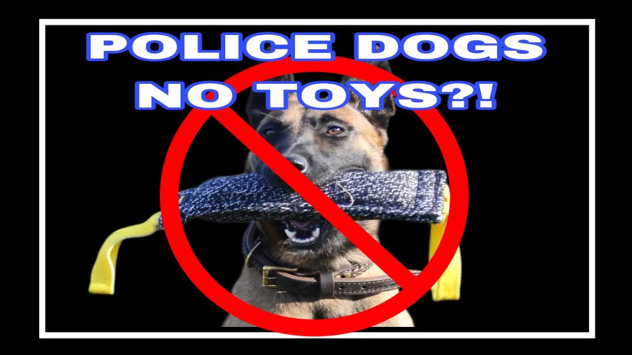 Police dogs and toys