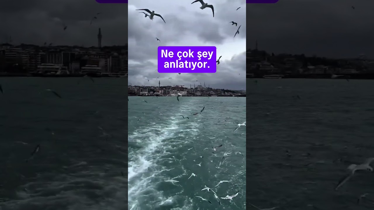 Nasibiniz bol olsun.#nasip #gayret #dua #&ccedil;alışmak #islam #keşfet
