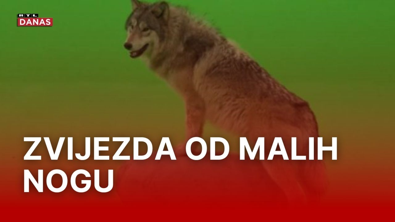 Vuk Miro dijelio je kadar s Pamelom Anderson i Dua Lipom | RTL Danas