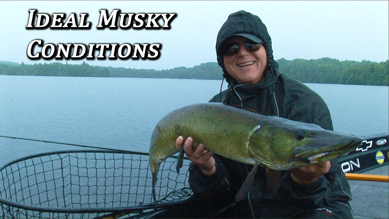 Musky!  Ideal Musky Conditions