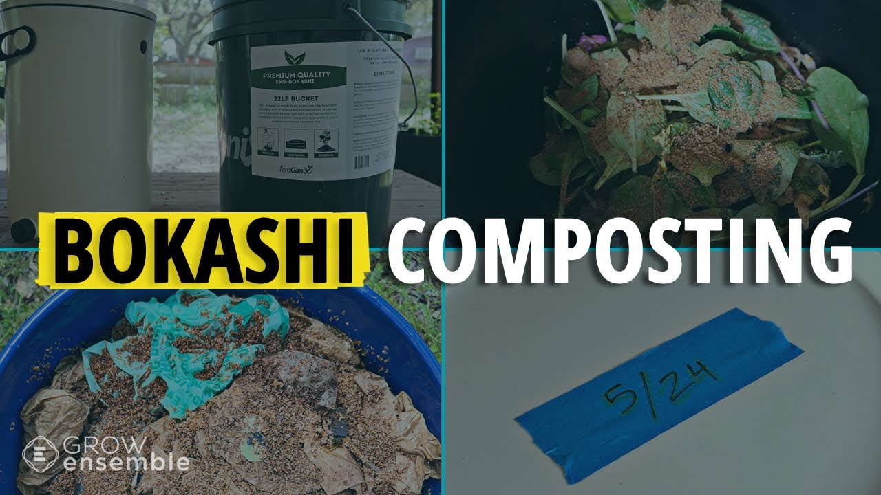 A Comprehensive Guide to How (& Why) to Do Bokashi Composting