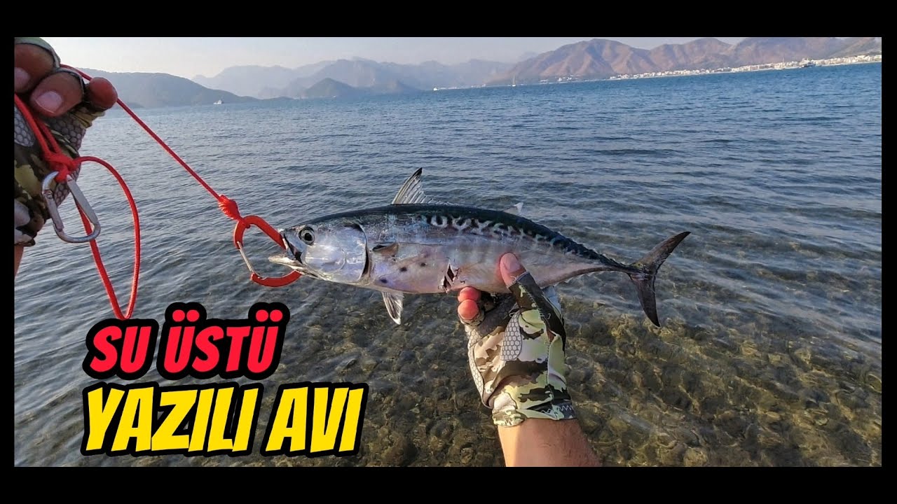 BALIK AVI . Su Üstü Popper ile Yazılı Orkinos Avı #lrf #lrfavı #balıkavı #balıkavıvideoları [ 4K ]