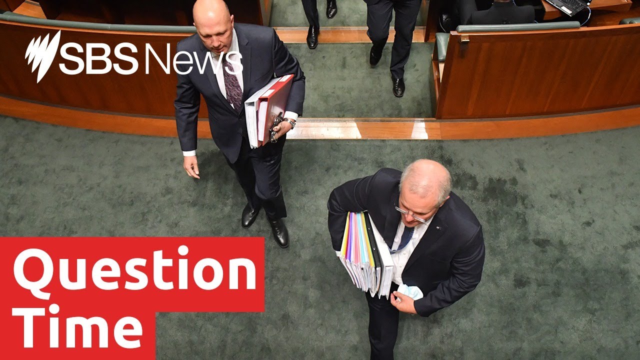 Federal budget 2020: Question time I SBS News