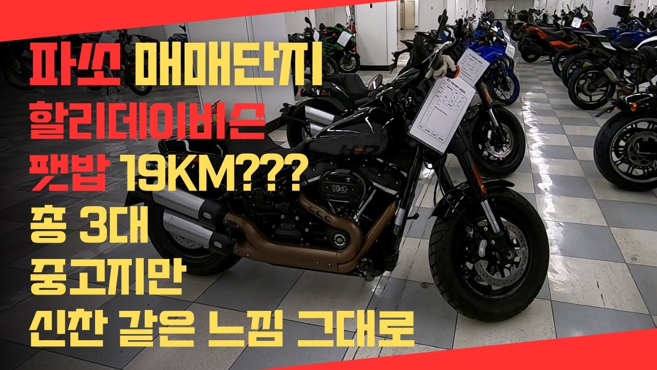 파쏘 매매단지 할리데이비슨 이건 중고라고 부르면 안 됩니다. 19km 탄 '새거' 포함 팻밥 3대 풉니다. / 도도할리 최우혁