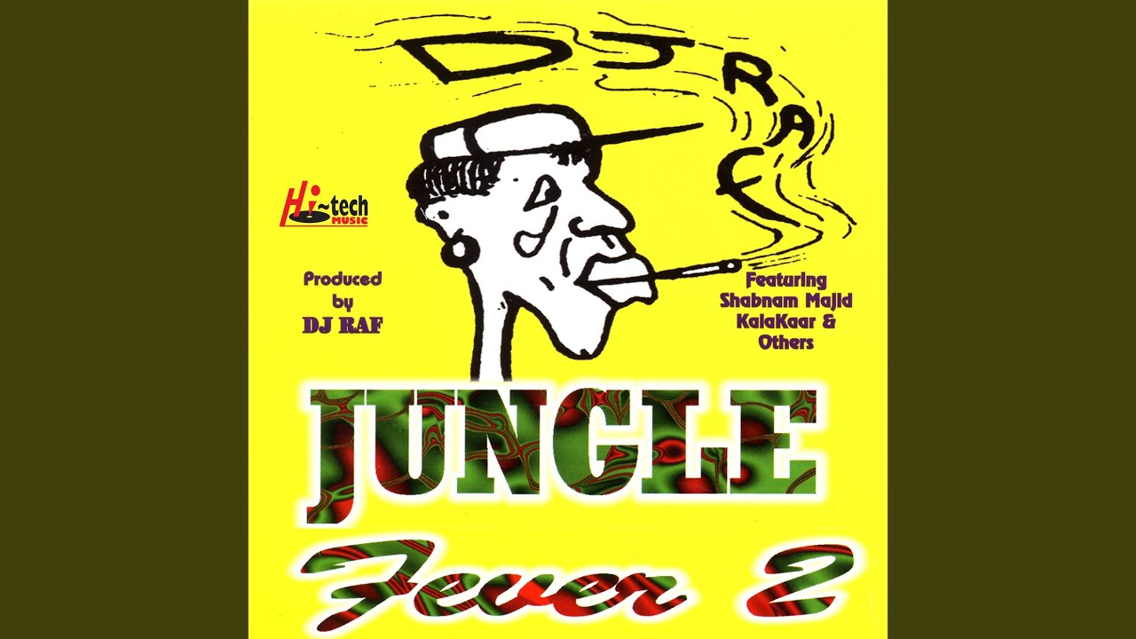 Punjabi Non-stop Jungle