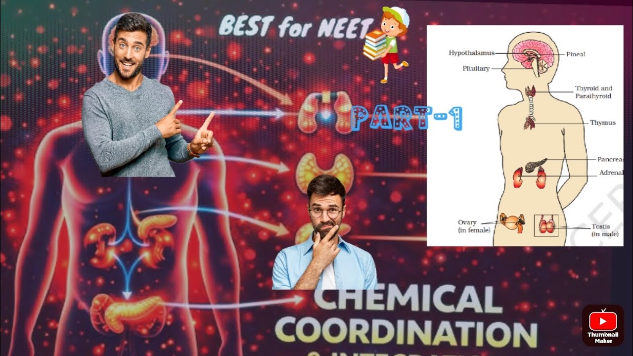 Hypothalamus full ncert /11th/neet/short series // chemical coordination#neet#biology#10