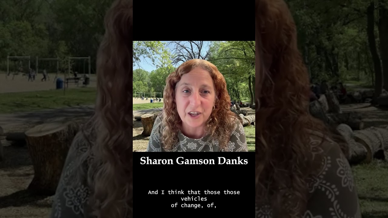 Sharon Gamson Danks on how to persevere as a woman/activist - 20th Anniversary Author Roundtable