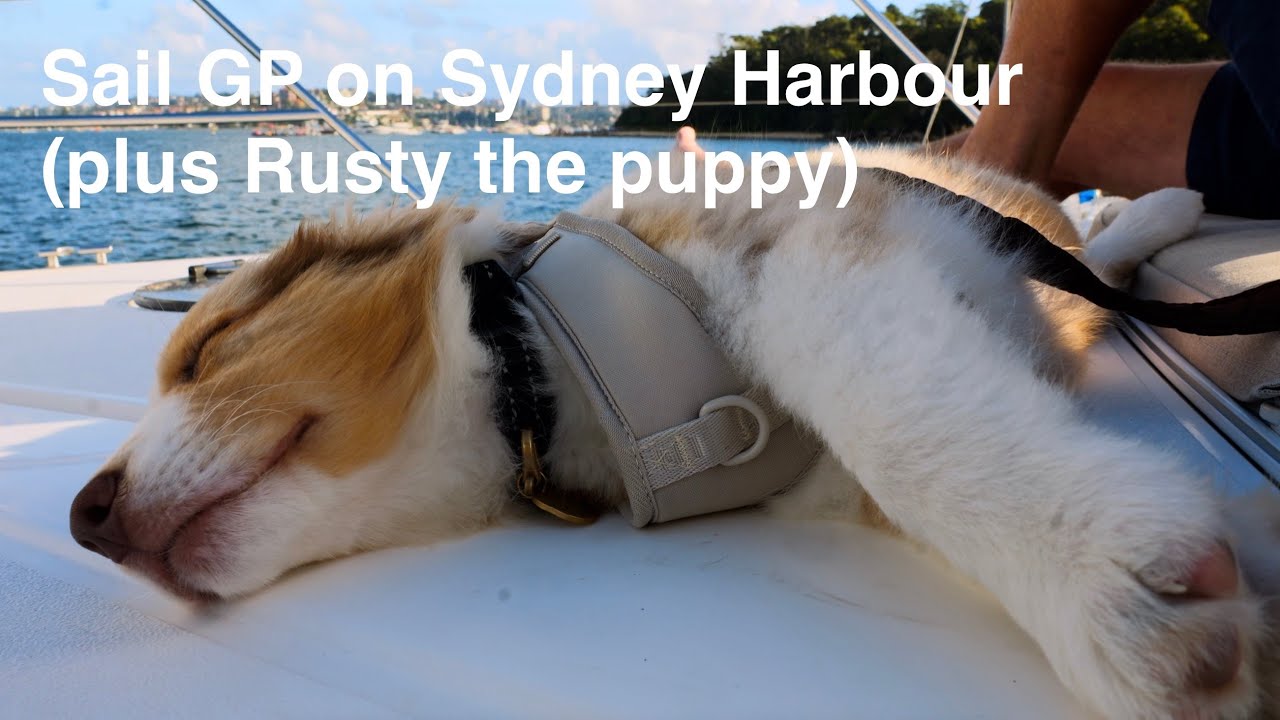 Sights and sounds of Sydney Harbour for Sail GP 2026