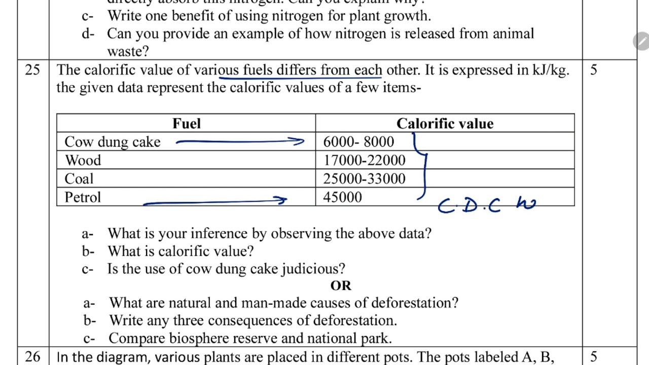 Half Yearly Exam Question Paper / Class-8 SCIENCE /2023 CBSE Paper For Kendriya Vidyalaya Students