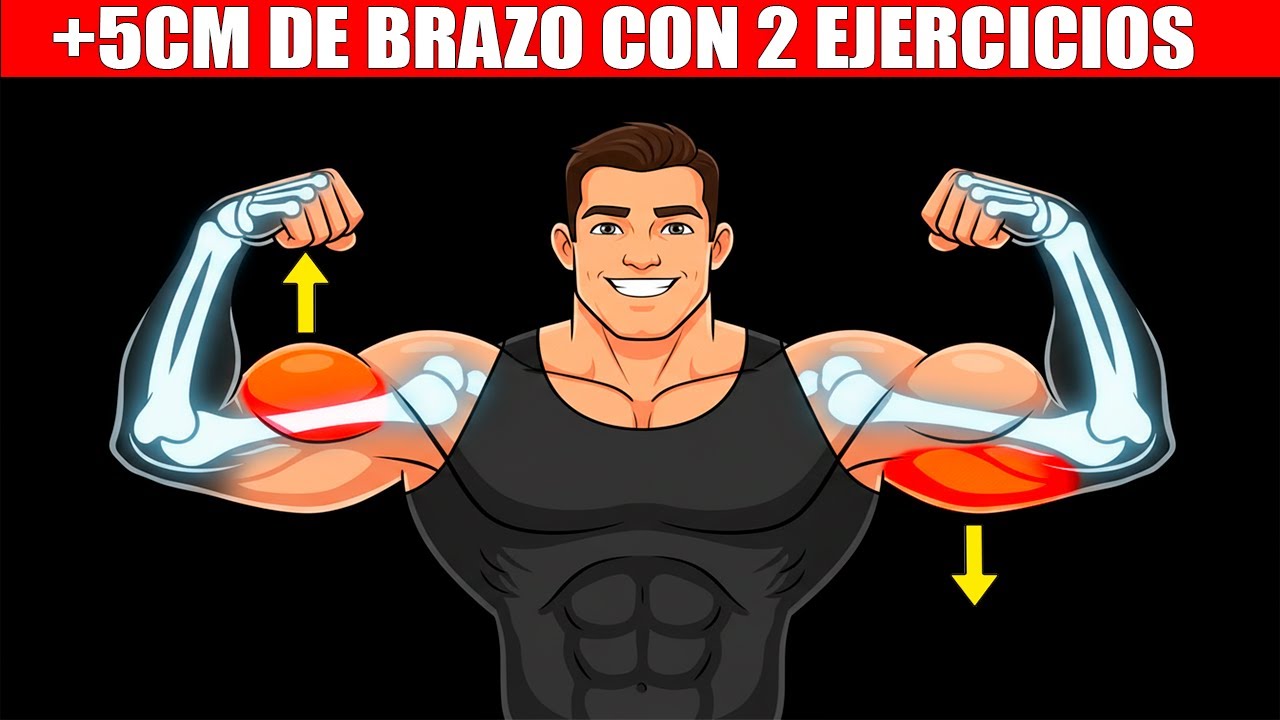 Solo 2 EJERCICIOS Para Brazos M&aacute;s Gruesos y Fuertes