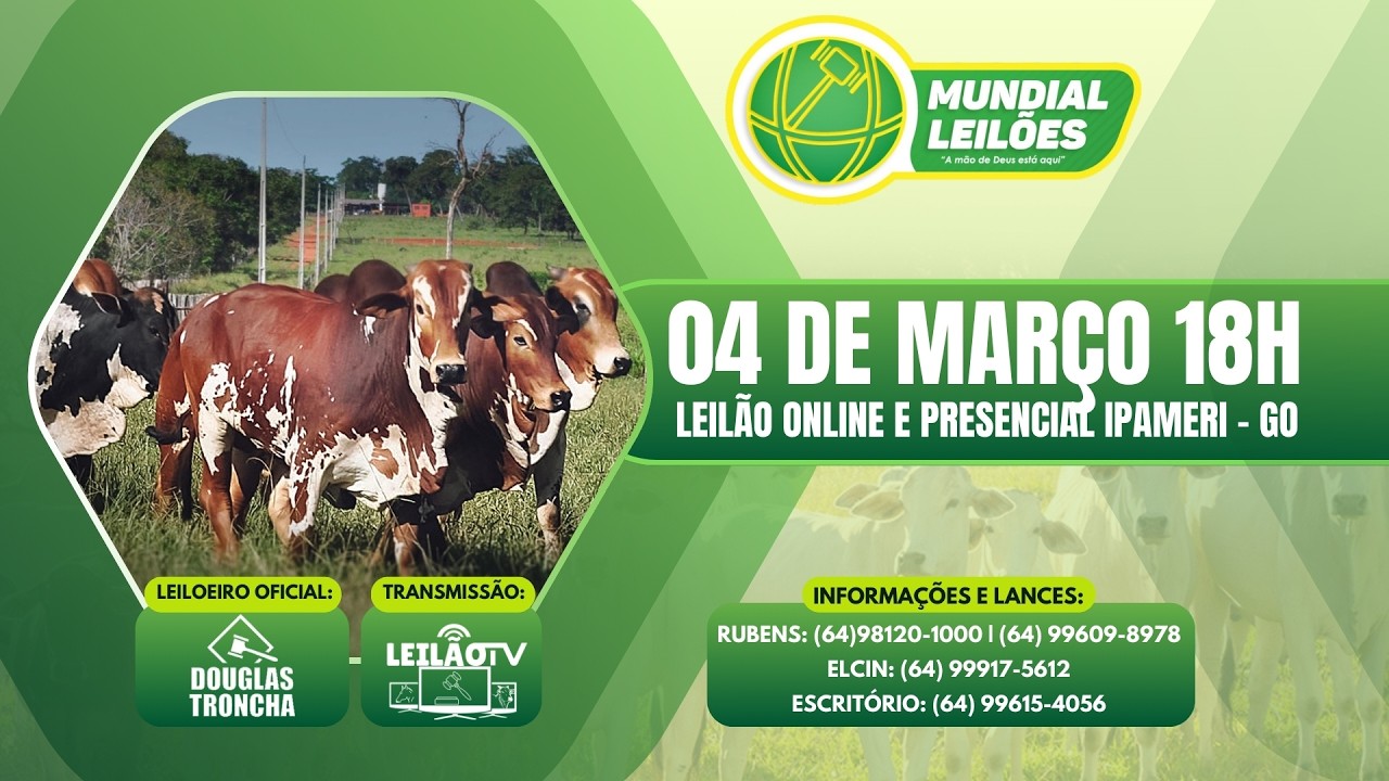 LEILÃO AO VIVO - MUNDIAL LEILÕES A MÃO DE DEUS ESTA AQUI - IPAMERI GO - 04/032026