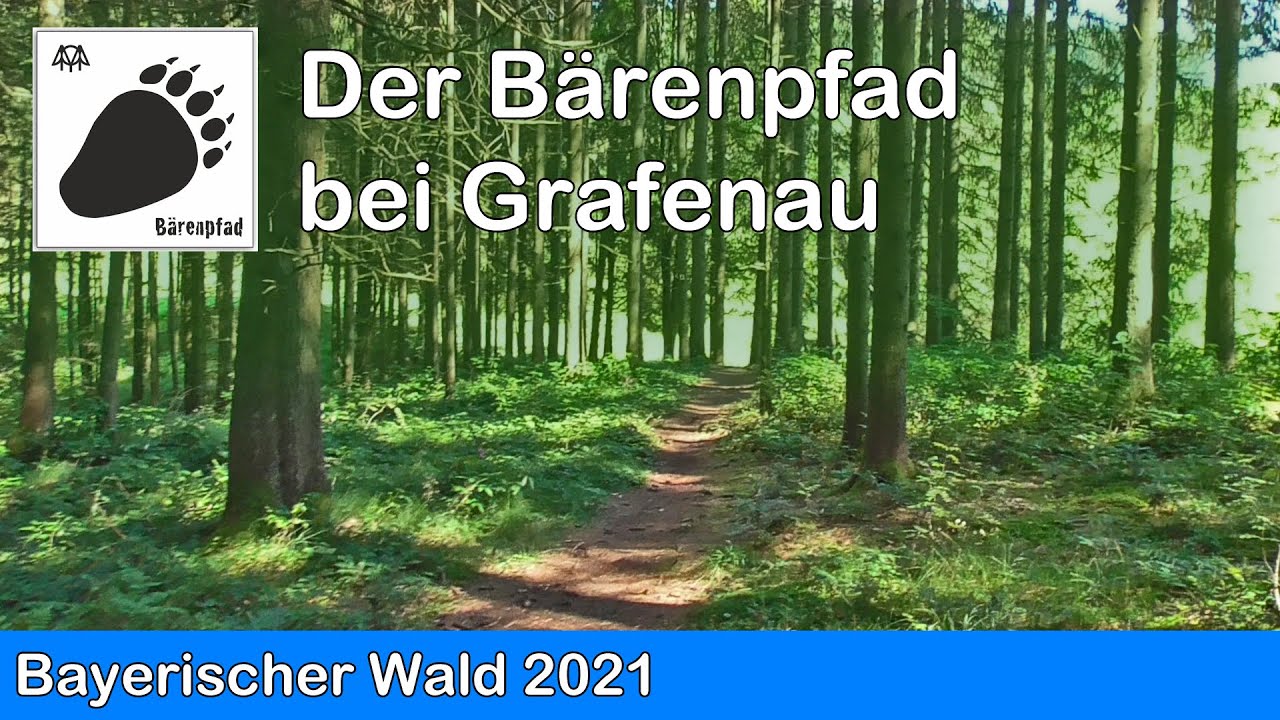 Bayerischer Wald - Unterwegs auf dem B&auml;renpfad bei Grafenau