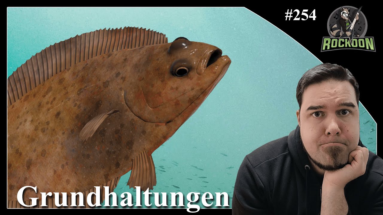 Kaffeeklatsch mit Platsch | Europäisches Nordmeer | Russian Fishing 4 | #koontainment