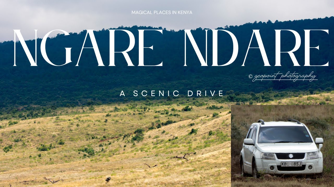 A MAGICAL EXPERIENCE AT NGARE NDARE FOREST