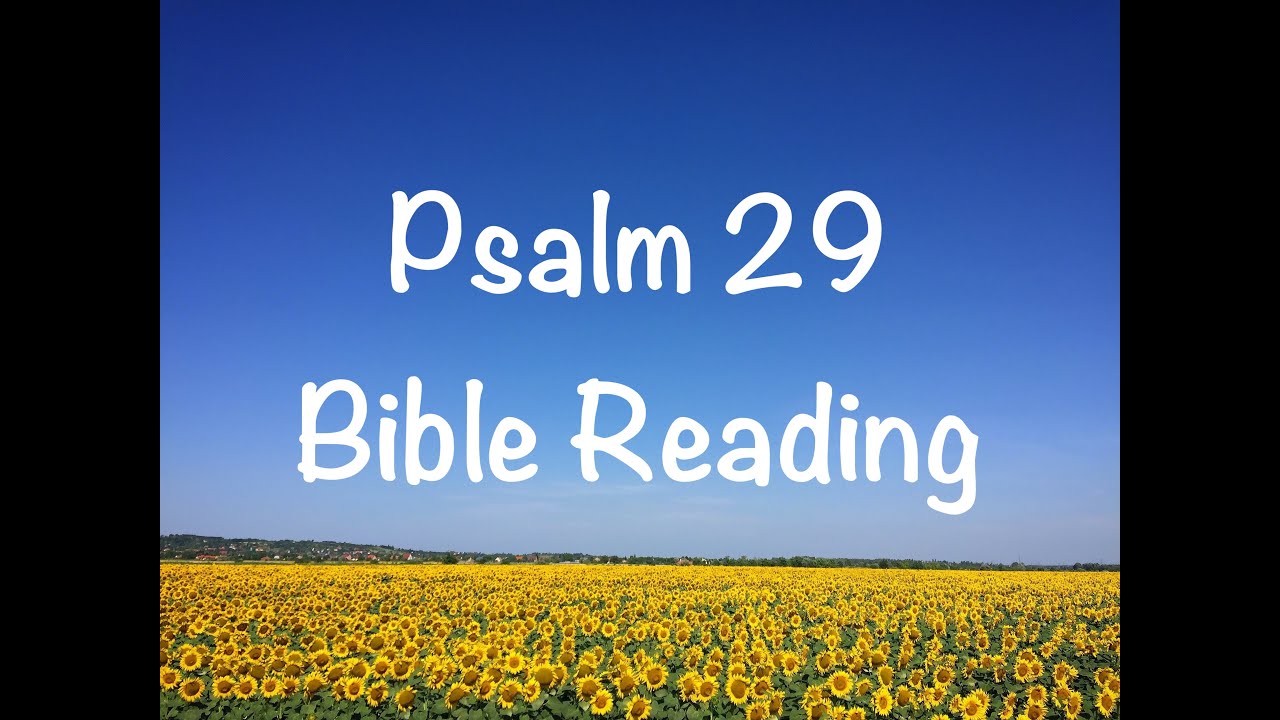 Psalm 29 - NIV Version (Bible Reading with Scripture/Words)