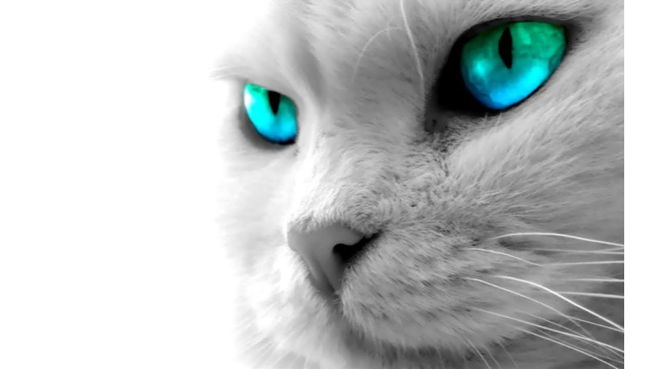 Lane 8 - Nora En Pure - Yotto - Sultan + Shepard - CamelPhat - Klur - Boxer (Omer Gigi Set)