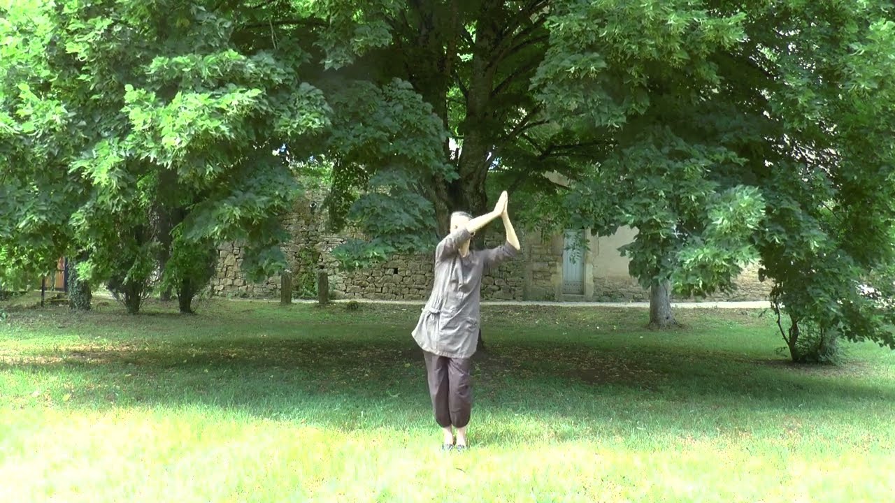 qi gong des 6 cercles réveille votre système endocrinien