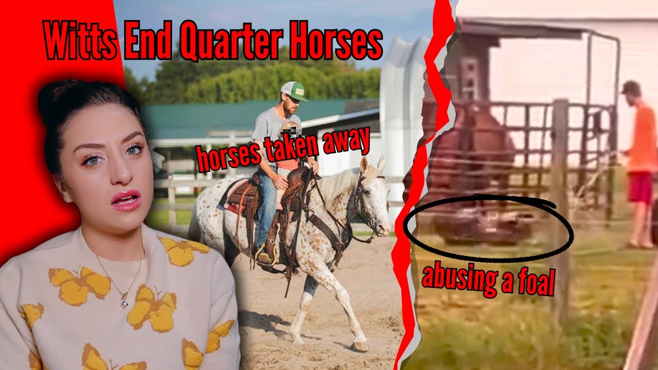 The Most Hated Horse Farm On The Internet