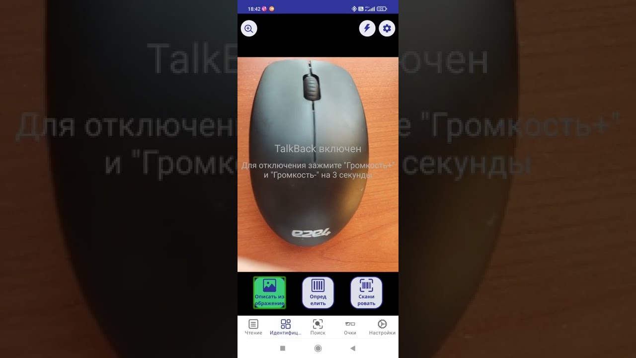 обзор приложения Envision AI