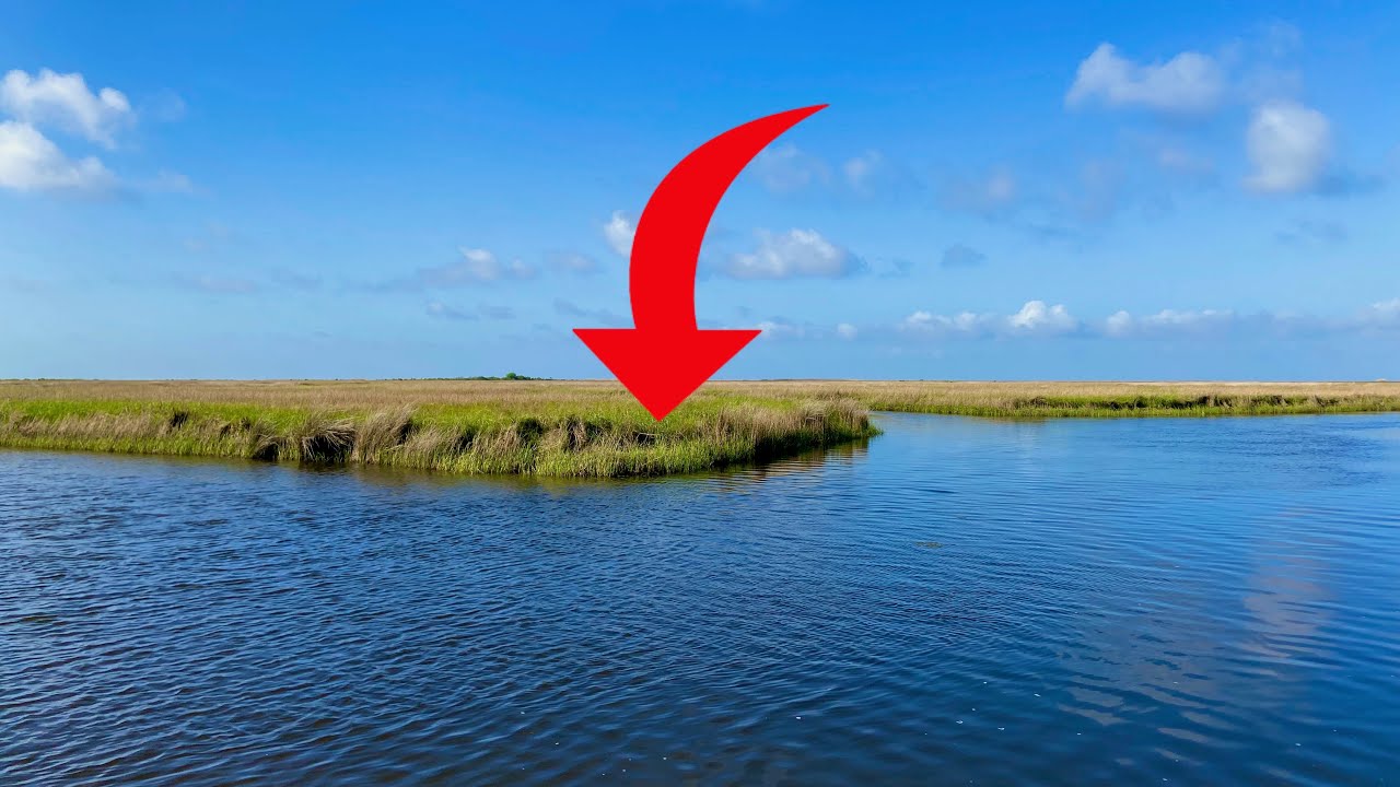 Why THIS Point Held So Many Speckled Trout